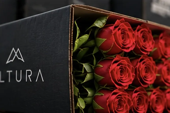 Caja de exportación con rosas rojas de tallo largo lista para despacho